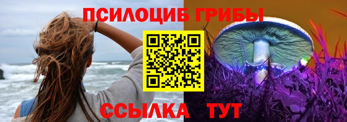 Стрежевой  купить   Вход с VPN  Псилоцибиновые грибы прущие грибы 